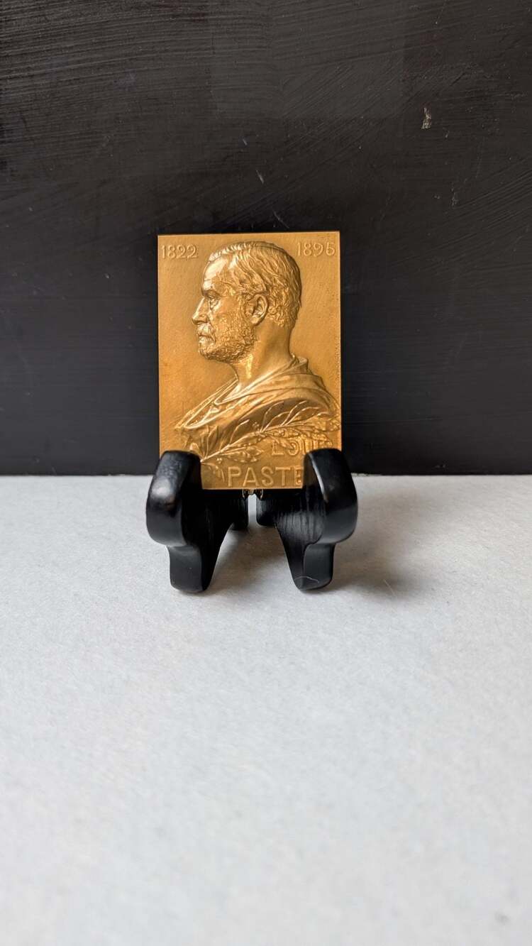 1968 Monnaie de Paris Louis Pasteur Bronze Plaque Medal by Georges Prud'homme